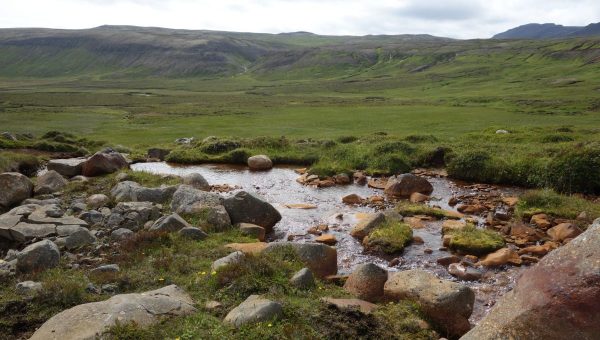 Baktérie Sediminicoccus boli izolované v tejto rieke na severe Islandu. Zdroj: David Kaftan
