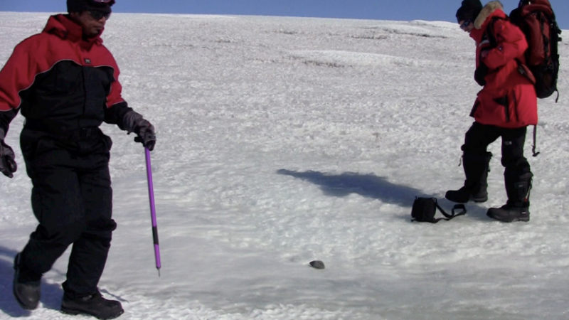 Nekonečné ľadové pláne poskytujú ideálny kontrast pre nálezy tmavých meteoritov. Zdroj: https://expeditions.fieldmuseum.org