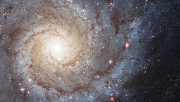 Špirálová galaxia Messier 74 je krásnym príkladom galaxie typu Sc. Z centrálneho jadra vychádzajú ramená posiate zhlukmi mladých hviezd. Zdroj: NASA