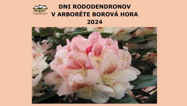 Plagát podujatia: Dni rododendronov 2024