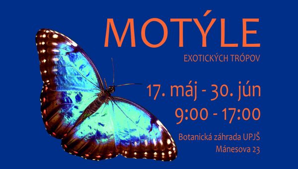 Plagát podujatia: Motýle exotických trópov 2024