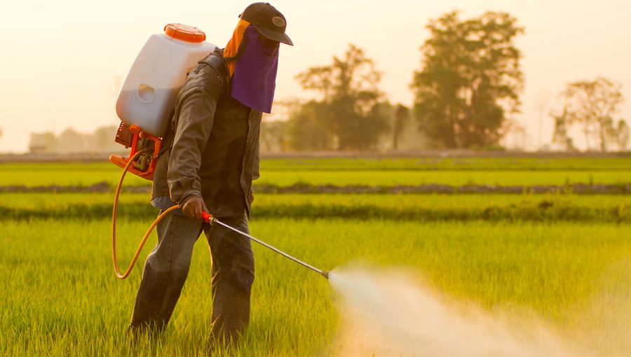 Používanie pesticídov v poľnohospodárstve. Zdroj: iStockphoto.com