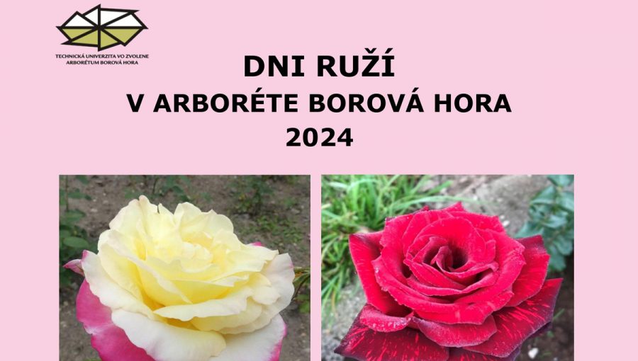 Plagát podujatia: Dni ruží 2024