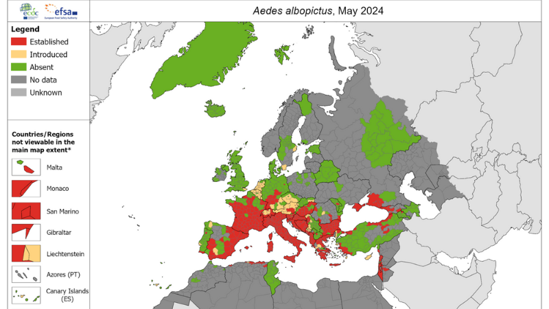 Mapa zobrazujúca rozšírenie tigrovaného komára v Európe k máju 2024.