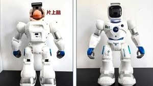 Ilustračná fotka robota s minimozgom. Reálny model bude musieť vyzerať inak. Zdroj: Tianjin University