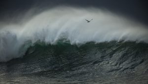 Vlny mora v búrke. Zdroj: iStockphoto.com