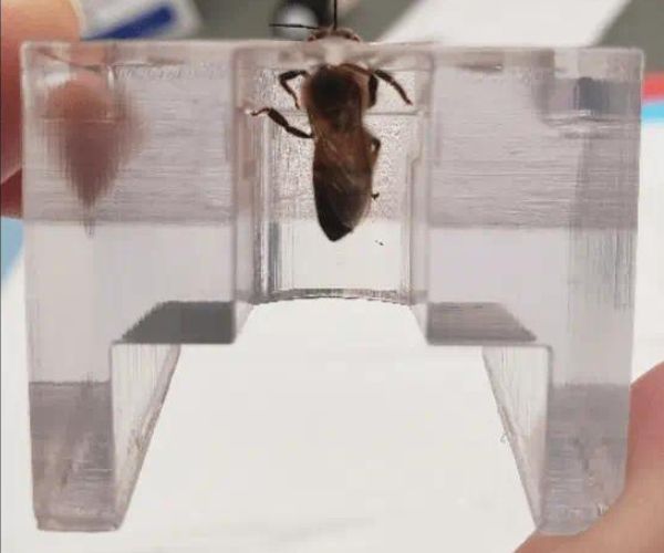 Včela v špeciálnej pomôcke, ktorú vedci zhotovili 3D tlačou. 