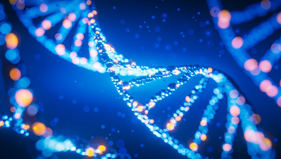 Štruktúra DNA. Zdroj: iStockphoto.com