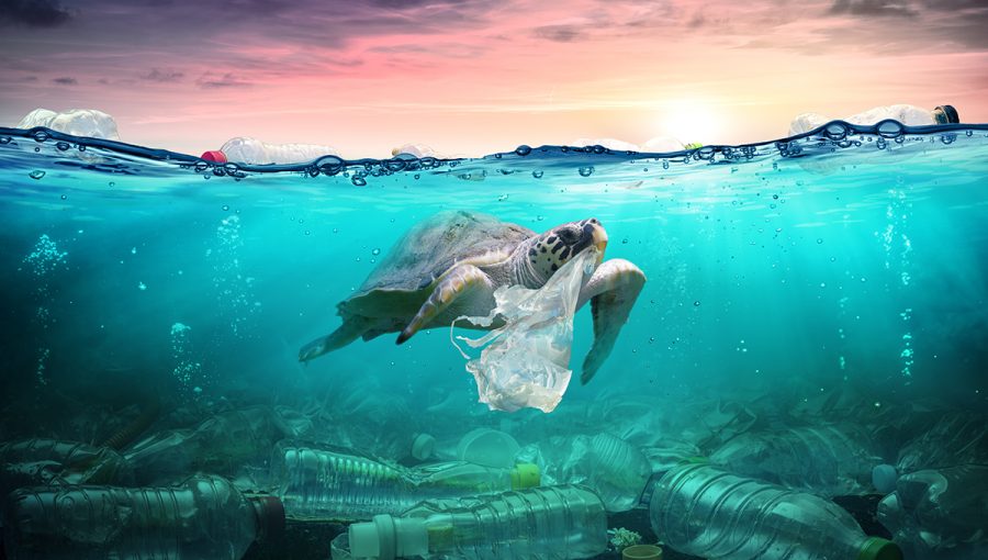 Korytnačka v oceáne znečistenom plastami. Zdroj: iStock.com/RomoloTavani