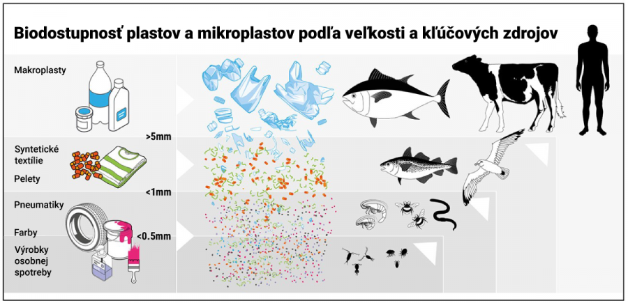 Biodostupnosť plastov a mikroplastov podľa veľkosti a kľúčových zdrojov. Spolu s tým, ako sa plasty rozkladajú ma menšie časti, stávajú sa dostupné pre väčší počet organizmov (znázornené horizontálnymi šípkami). Zároveň sa zvyšuje potenciál pre prenos prostredníctvom potravových reťazcov (diagonálne šípky). (Thompson a kol., 2024).