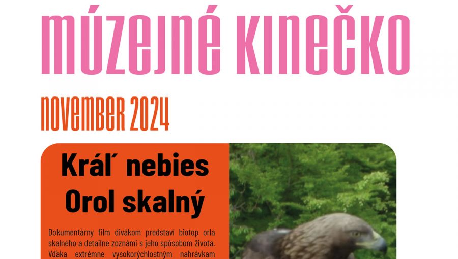 Múzejné kinečko: Kráľ nebies – orol skalný