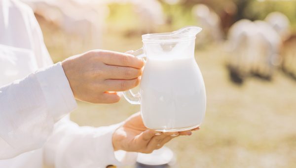 Čerstvé kozie mlieko. Zdroj: iStock.com/anatoliycherkas