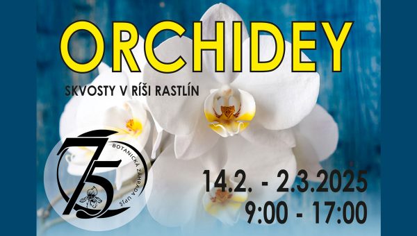 Výstava Orchidey 2025 – skvosty v ríši rastlín