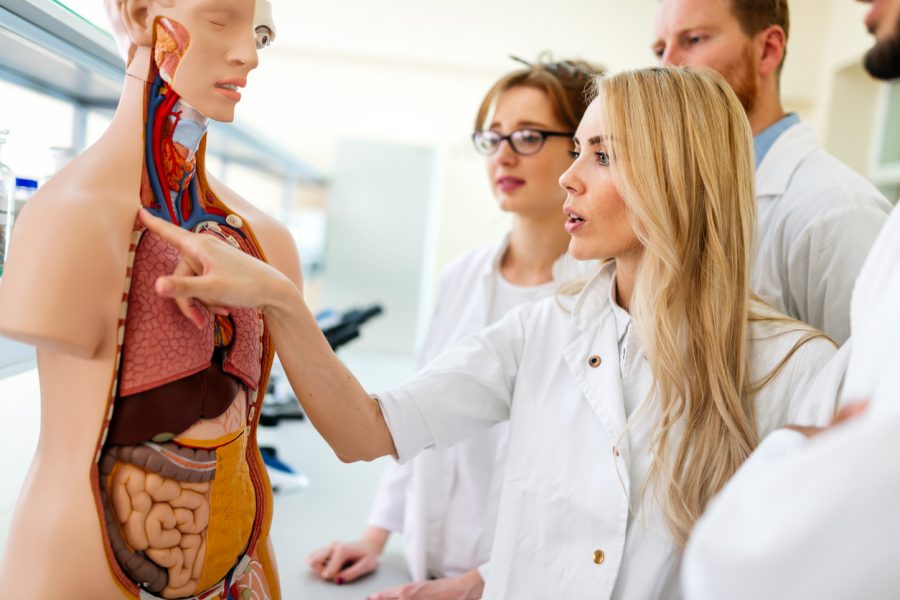 Študenti medicíny študujúci ľudské telo. Zdroj: iStockphotos.com. Autor: nd3000