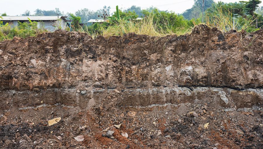 Vrstvy pôdy. Zdroj: iStock.com/montiannoowong