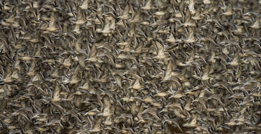 Zdroj: World Nature Photography Awards. Zdroj: World Nature Photography Awards
