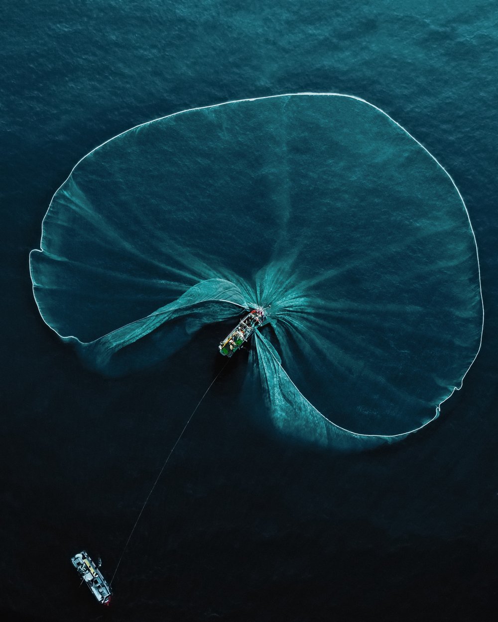 Ľaliová sieť od Roberta Middletona. Zdroj: World Nature Photography Awards