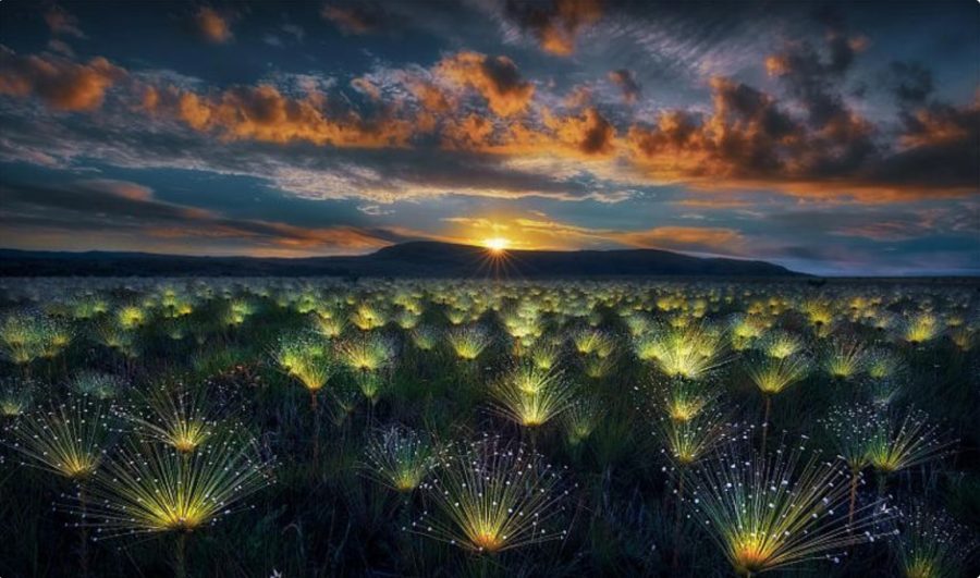 Ohňostroj od Marcia Estevesa Cabrala. Zdroj: World Nature Photography Awards