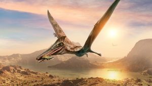 Pterosaurous. Zdroj: iStockphotos.com. Autor: Warpaintcobra