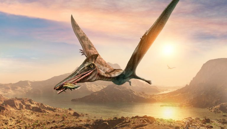 Pterosaurous. Zdroj: iStockphotos.com. Autor: Warpaintcobra