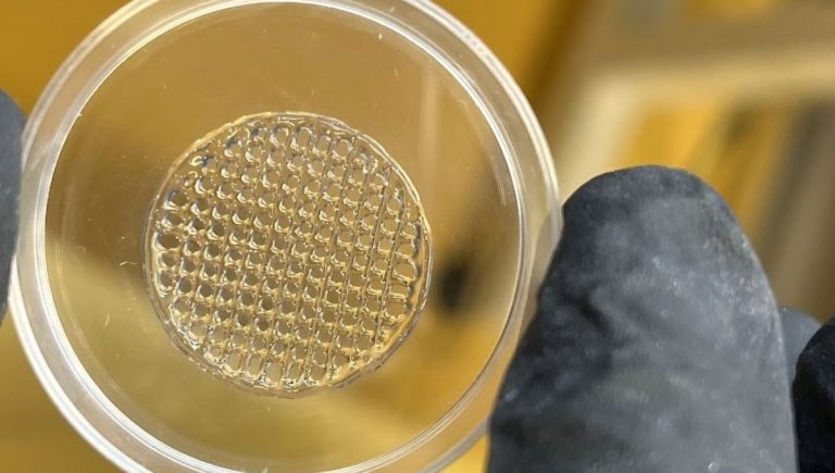 Nový materiál môže znížiť množstvo testovanej kozmetiky na zvieratách. Zdroj: Graz University of Technology