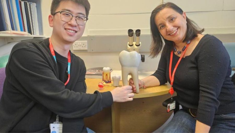Xuechen Zhang a Ana Angelova Volponiová z King´s College v Londýne skúmajú možnosti vývoja zubov v laboratórnych podmienkach.