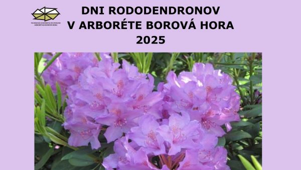 Dni rododendronov 2025
