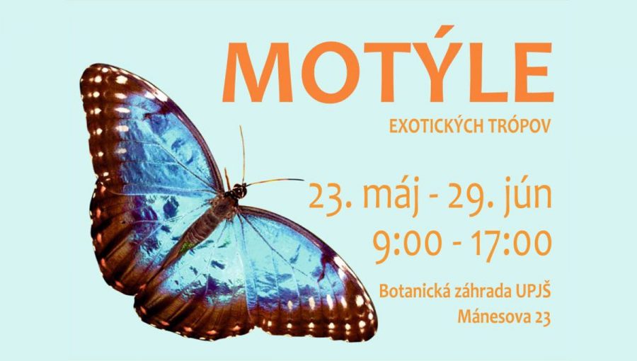 Plagát podujatia: Motýle exotických trópov 2025. Zdroj: UPJŠ v Košiciach