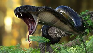 3D ilustrácia kobry. Zdroj: iStock.com/mrjo2405