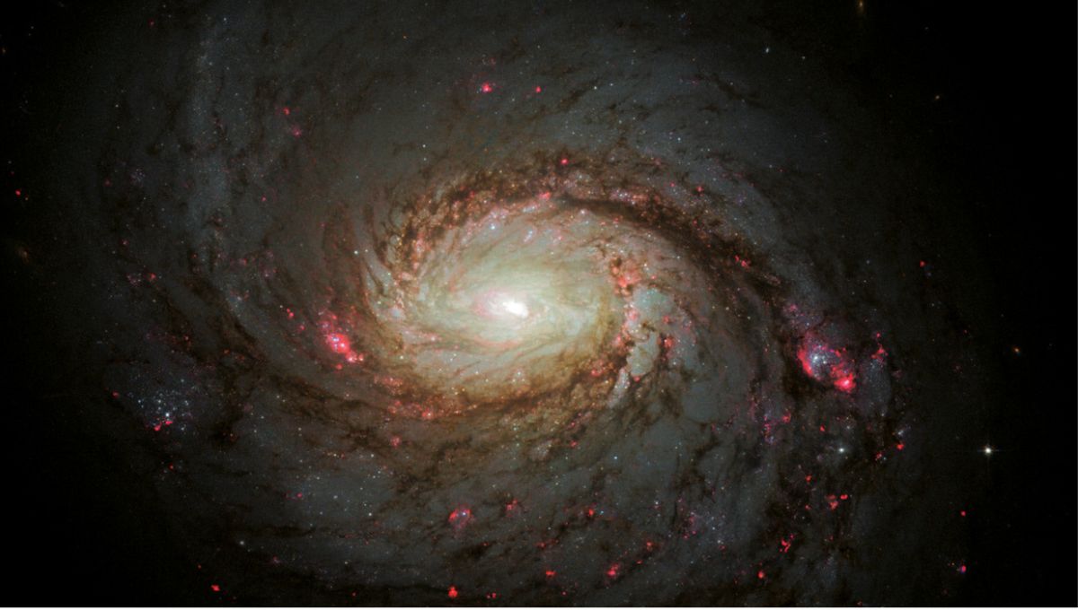 Galaxia