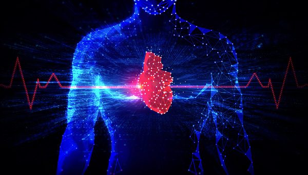 Srdce. Zdroj: iStock.com/ArtemisDiana