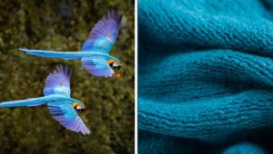 Ilustračný obrázok. Zdroj: iStockphotos.com. Autor: Ondrej Prosicky a Elena Feodrina