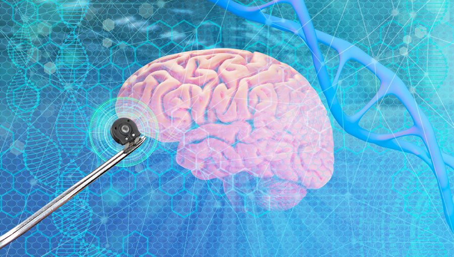 Elektronický čip a mozog. Zdroj: iStock.com/Victor Golmer