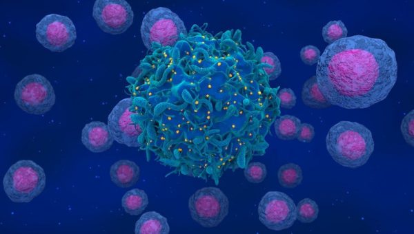 Ilustrácia zobrazuje vírus HIV vyznačený žltou farbou uvoľňujúci sa z membrány infikovanej bunky.