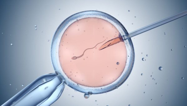 Umelé oplodnenie. Zdroj: iStock/iLexx