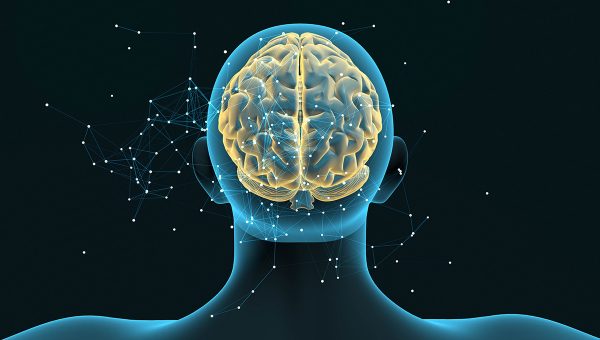 Prepojenia v mozgu. Zdroj: iStock.com/Silver Place