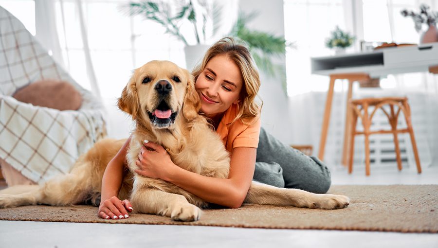 Pes ako domáci miláčik. Zdroj: iStock.com/Harbucks