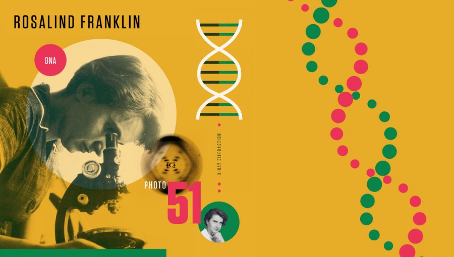 Koláž s Rosalind Franklin. Zdroj grafiky vľavo: Wikimedia. Autor: Amanda Phingbodhipakkiya. Zdroj DNA vpravo: iStock.com/Svetlana Ievleva