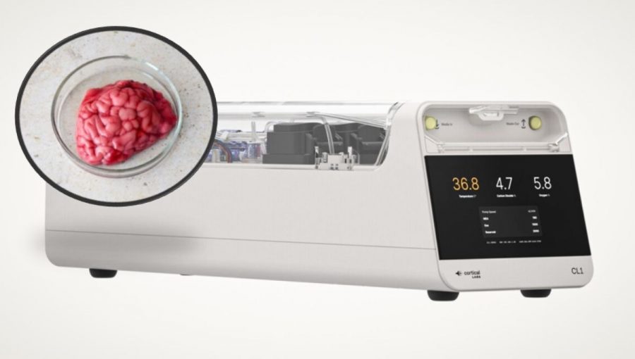 Prvý počítač s ľudskými neurónmi CL1. Zdroj: Cortical Labs