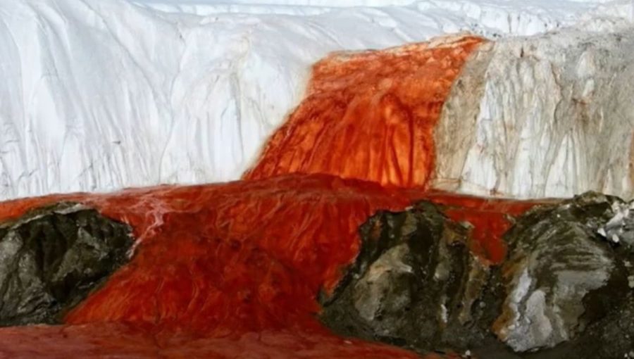 Krvavé vodopády. Prírodný zázrak Antarktídy. Zdroj: Youtube/Smart Side