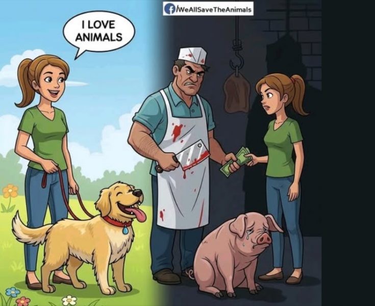 Ilustrácia speciesizmu. Zdroj: Facebook/Weallsavetheanimals