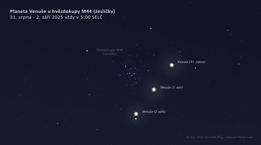 Pohľad na Venušu pri Jasličkách sa nám naskytne medzi 31. augustom a 2. septembrom 2025. 