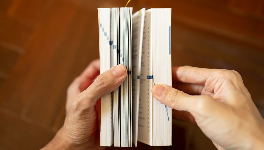 Vyhľadávanie v slovníku. Zdroj: iStock.com/Wachiwit