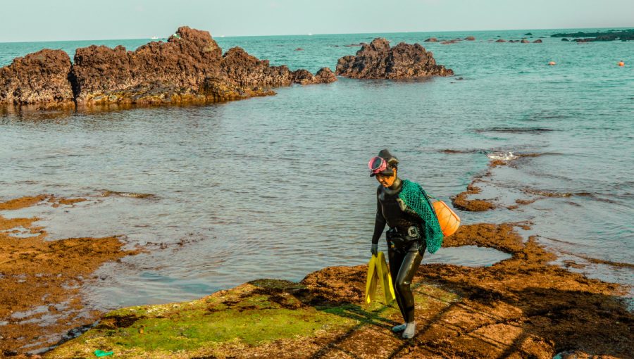 Potápačka na ostrove Čedžu-do. Zdroj: iStock.com/Shanae Ennis-Melhado