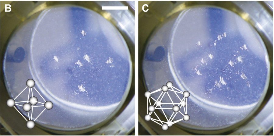 Zachytenie mikroguľôčok silikagélu ultrazvukom v špecifikovaných bodoch v 3D. Zdroj: Inštitút Maxa Plancka