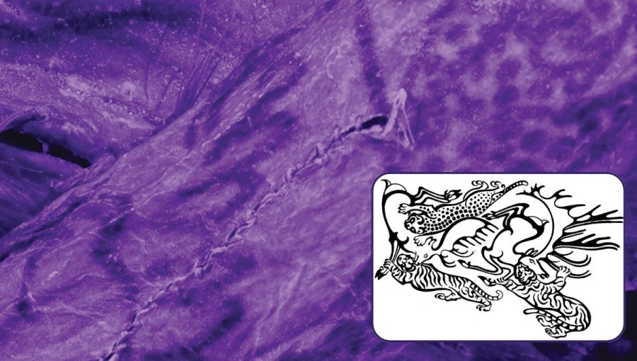 Tetovanie múmie pod ifračerveným svetlom, výjav zobrazujúci loveckú scénu.