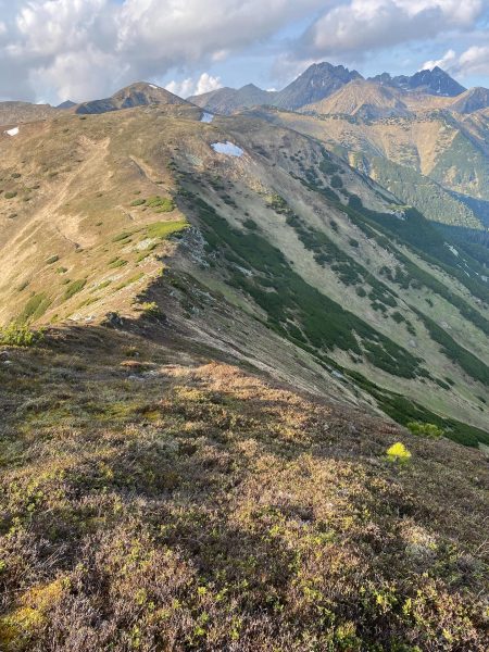 Kým v niektorých krajinách divočina vzniká takmer od nuly, my máme nejaký základ a to je dôležité. Zdroj: Erik Baláž