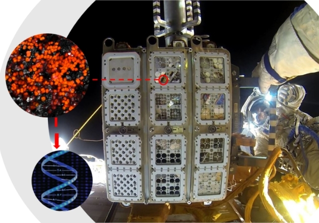 Letové vybavenie na vonkajšej strane ISS s so sušenými mikróbami Chroococcidiopsis pri ceste na Mars. Zdroj: Roscosmos/ESA