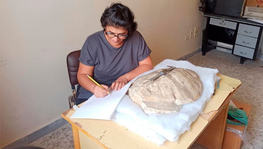 Wafa Adel Alhalabiová a fosília morskej korytnačky.