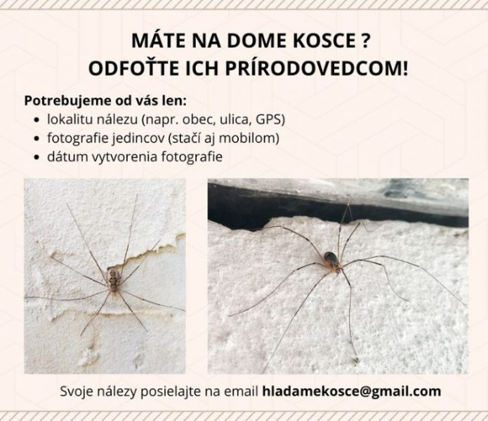 Odfotografujte kosce a pošlite ich prírodovedcom.